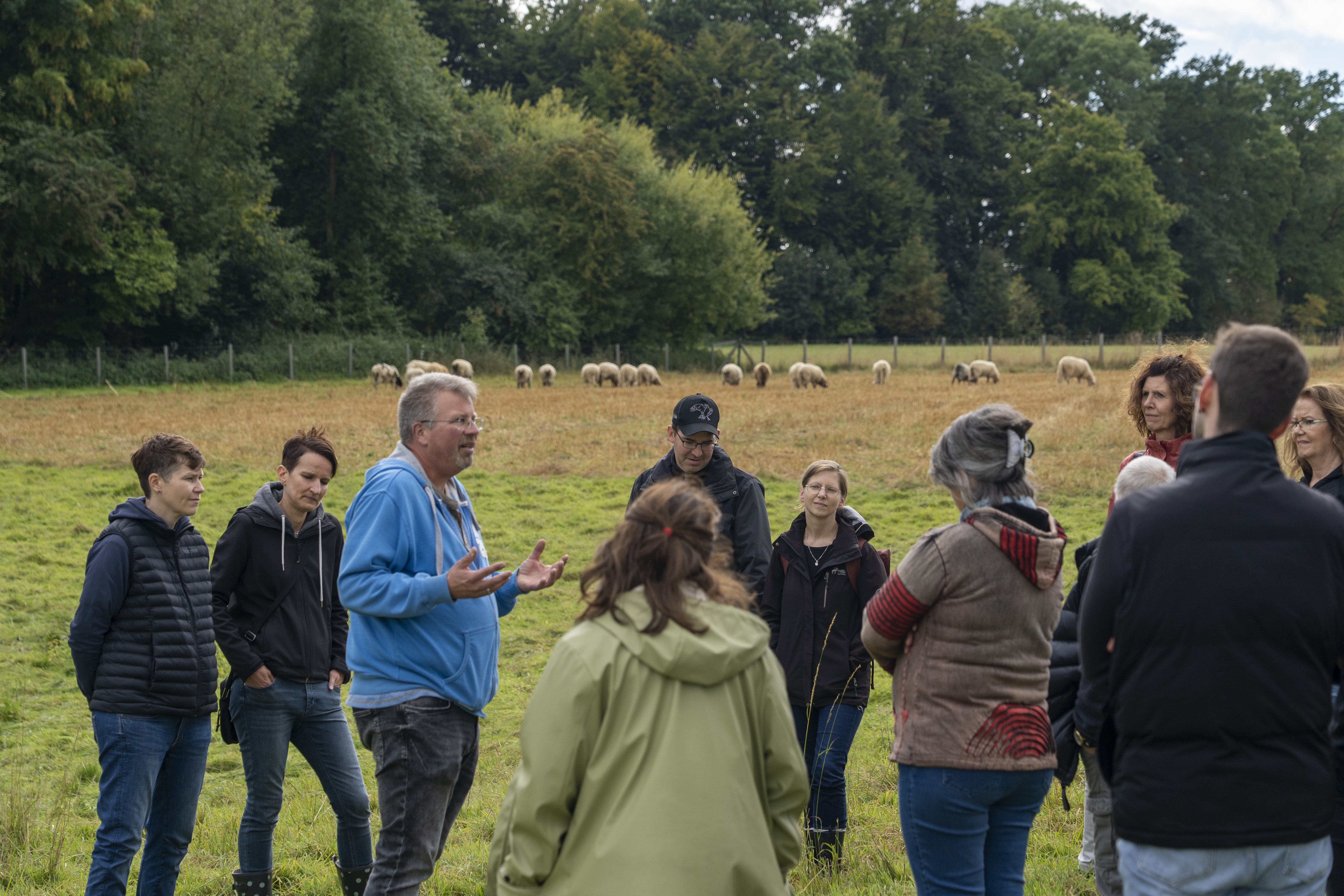 The group standing on the pasture, sheep in the background